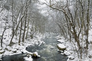 Snow landscape in the Bodetal...