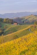 Autumnal vineyards and farmho...