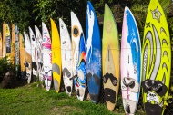 Decorative surfboards at Hoo...