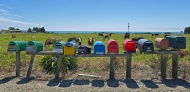 Several mailboxes at a cow pa...