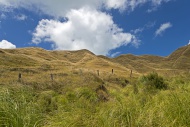 Hills near Mahia, Mahia Penin...