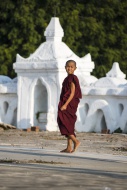 Young buddhist monk or novice...