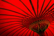 Red parasol, detail view