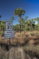A road sign in the Picayune S...