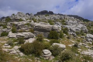 Limestone rocks, Torcal de An...