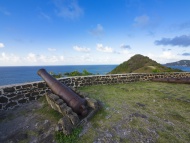 Cannon at Fort Rodney, Pigeon...