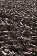 Ploughed field, Bavaria, Germany