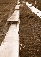 Weathered planks formerly use...
