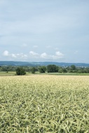 Germany,  Baden-Wuerttemberg,...