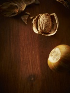 Hazelnut, Corylus avellana