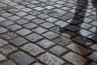 Cobblestone pavement with sha...