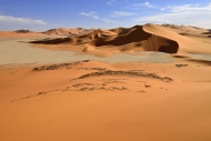 Algeria, Tehak, sanddunes at ...