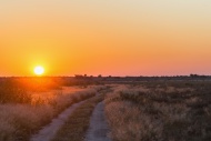 Botswana, Kalahari, Central K...