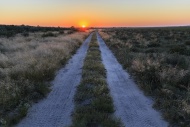 Botswana, Kalahari, Central K...