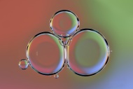 Water bubbles on oil