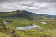 Ireland, County Kerry, Dingle...