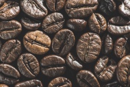 Close-up of coffee beans