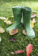 Autumn leaves and rubber boots