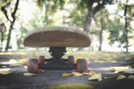 Skateboard in park in autumn