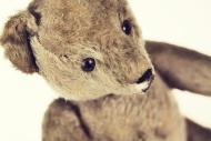 Old teddy-bear, close-up