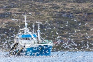 Norway, Troms, Fishing boat a...