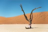Namibia, Namib Desert, woman ...