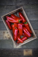 Red pointed peppers in wodden...