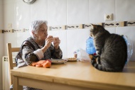 Senior woman eating while the...