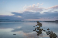 Germany, Lake Constance, Rado...