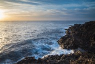 Spain, Tenerife, rocky coast ...