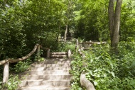 Stairs to Drachenberg, Grunew...