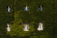 House facade covered with Jap...