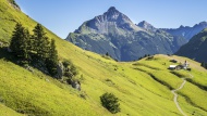 Austria, Vorarlberg, Lechtal ...