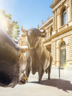 Germany, Frankfurt, bull and ...