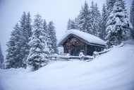 Austria, snow-covered hunting...