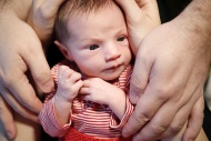 Two-week-old baby with hands ...