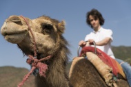 Morocco, man on a camel