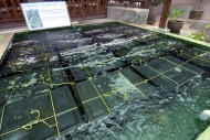 Abalone mussel breeding farm,...