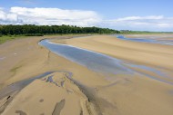 The Taw Estuary viewed from T...