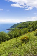 View of Woody Bay and the Bri...