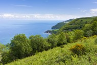View of Woody Bay and the Bri...