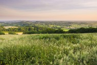 View over the Somerset Levels...