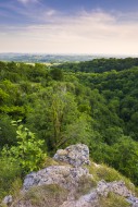 Summer evening view over Ebbo...