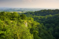 Summer evening view over Ebbo...