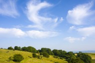 Altocumulus clouds over Deerl...