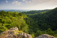 Summer evening view over Ebbo...