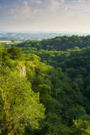 Summer evening view over Ebbo...