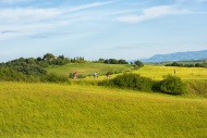 Italy, Tuscany, Val d\'Orcia,...