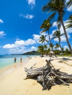 Caribbean, Martinique, Sainte...