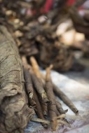 Tobacco cigars, municipality ...